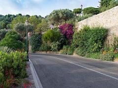 183 D23 BORMES LES MIMOSAS 1_000050